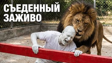 Трагедии снятые на видео | За секунду до катастрофы