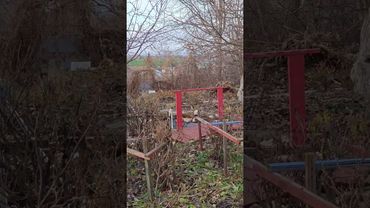 Мечта детства 🙏😻🤔🤣 #cat #кот #юмор #котушка #приколы #цитаты #смех