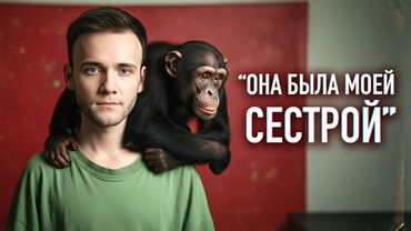 "Мы воспитали обезьяну с нашим сыном" [Неэтичные эксперименты]