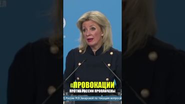 Захарова рассказала, кто стоит за провокацией с плакатом о Путине в Иреване