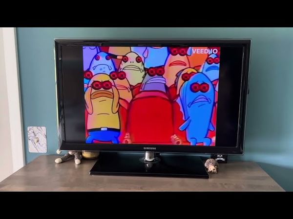 SpongeBob SquarePants - Banned Lost Episode (VHS tape) (2005 Viacom Inc.)