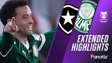 Botafogo vs. Palmeiras 0 - 1 I Game Highlights I Brasileirão 2025