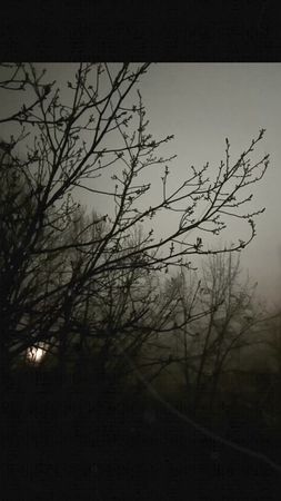 Один из признаков Конца света 