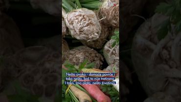 Sajmeni dan u Čakovcu