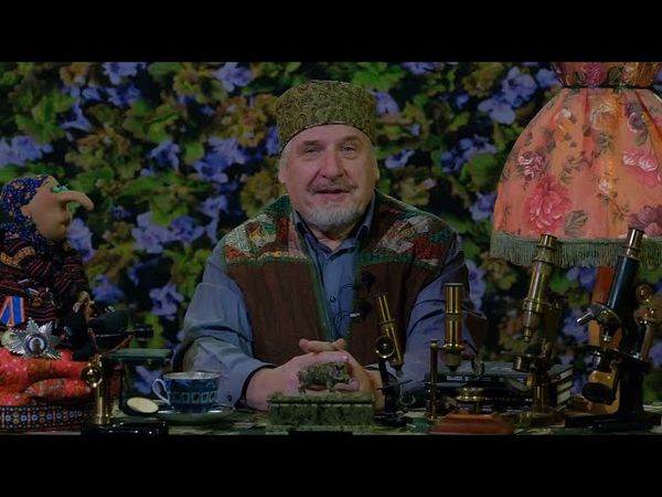 С.В. Савельев - Микроскопические забавы для глаз и души