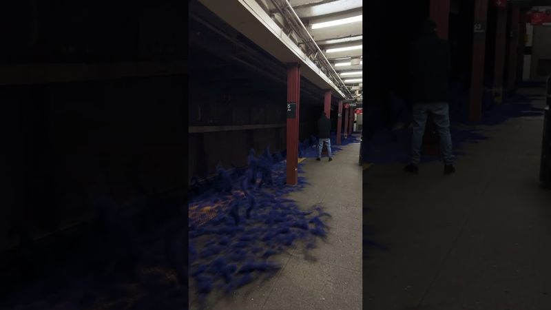 What lurks beyond the shadows...? 👀