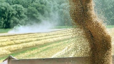 Plodovi zemlje, 13. srpnja 2025.