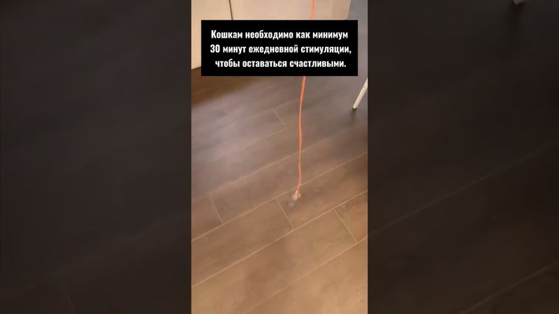 🅰️ Артикул Яндекс Маркет: YM10190214