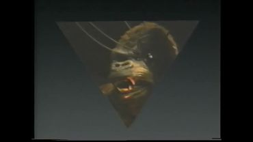 VideoTours/Wave, Inc. (1991)