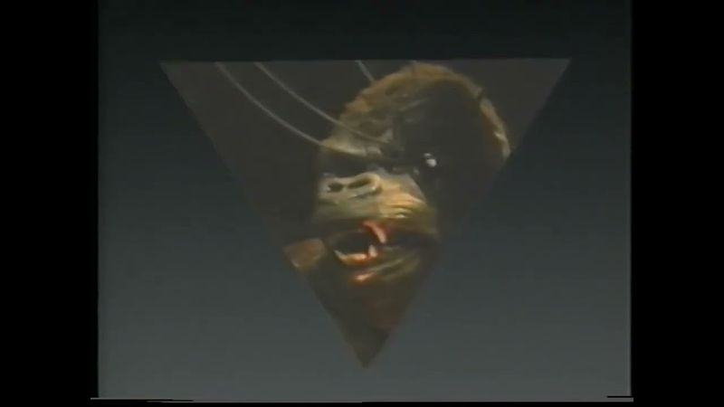 VideoTours/Wave, Inc. (1991)