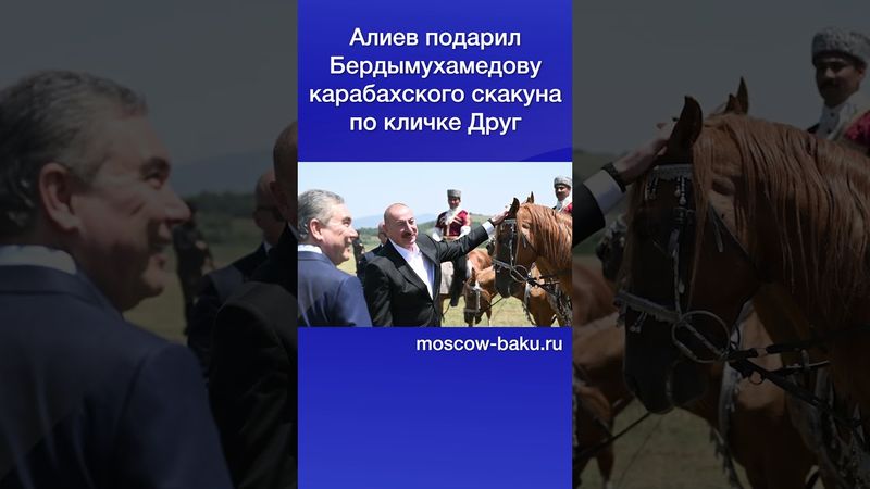 Алиев подарил Бердымухамедову карабахского скакуна по кличке Друг