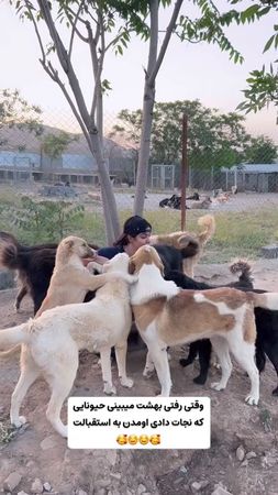 #انسانیت_زنده_باد_♥️✨ 