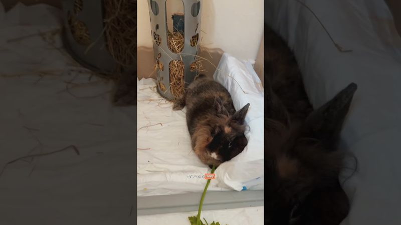 А как знакомитесь вы?)