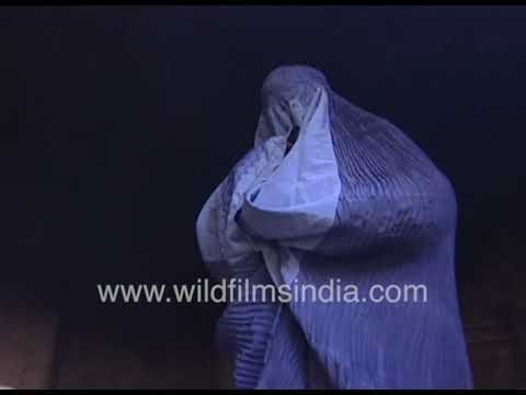 Woman cooks at home in an Afgani house kitchen, during earlier Taliban rule