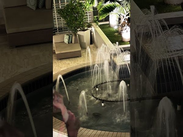 Goodbye summer☹️🙁