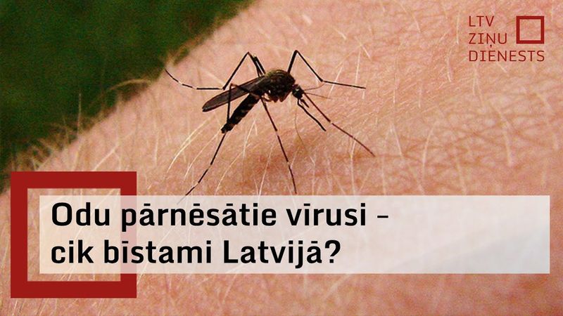 Odu un ērču pārnēsātu slimību uzliesmojuma dēļ ceļotājus mudina gādāt par sevis pasargāšanu