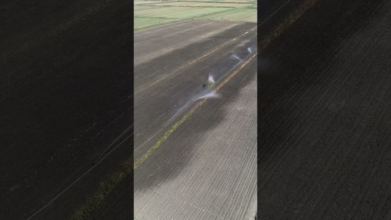 Полив поля💪 #youtubeshorts