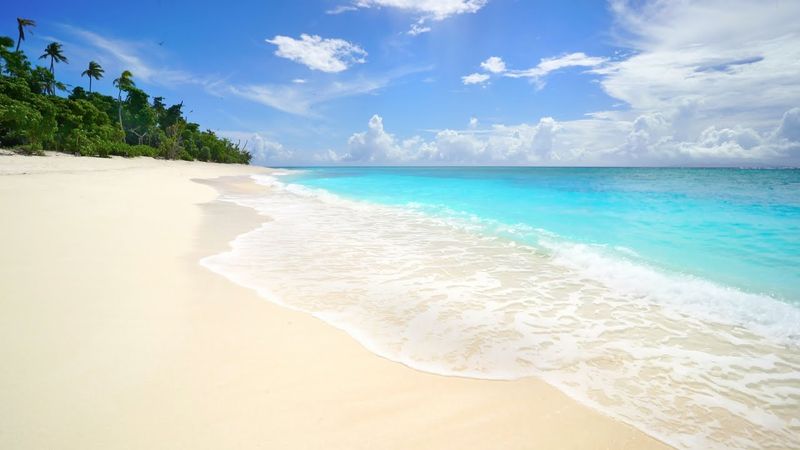 11HRS of 4K Tropical Beach Waves: Hawaii, Caribbean, Fiji & Mexico + Nature Sounds for Relaxation