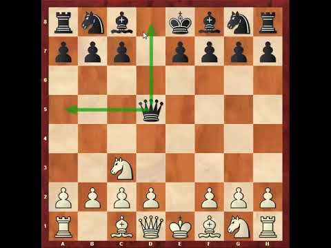 200 . شروع بازی ضد اسکاندیناوی برای سفید - ترم 11 ( قسمت 4 )