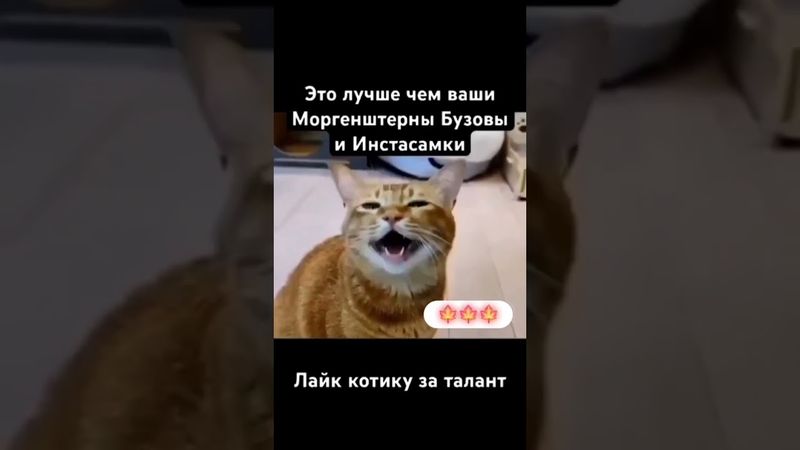 #юмор #шуточное #прикол