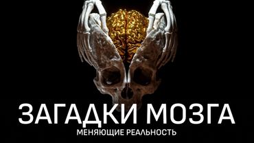 То, что вы считаете реальностью – иллюзия