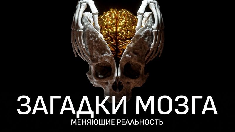 То, что вы считаете реальностью – иллюзия