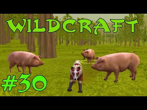 WildCraft Симулятор жизни зверей Онлайн #30 Играем за волков на ферме ОЗВЕРЕВШИЕ СВИНЬИ!