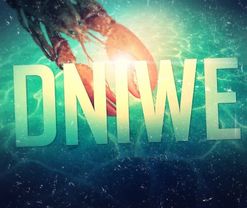 DNIWE  #1