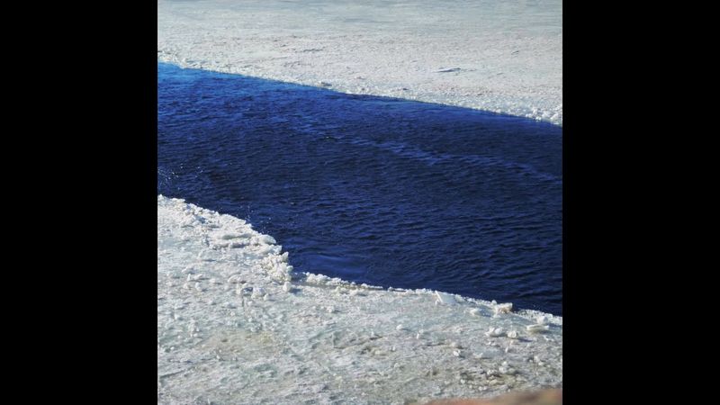 Дневники весны