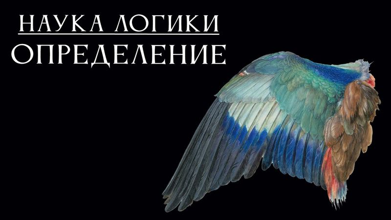 НАУКА ЛОГИКИ 09: Определение