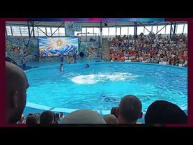 Lady Ariana, Lady Asya Премьера клипа - ЛЕТО (Official Music Video 2025)