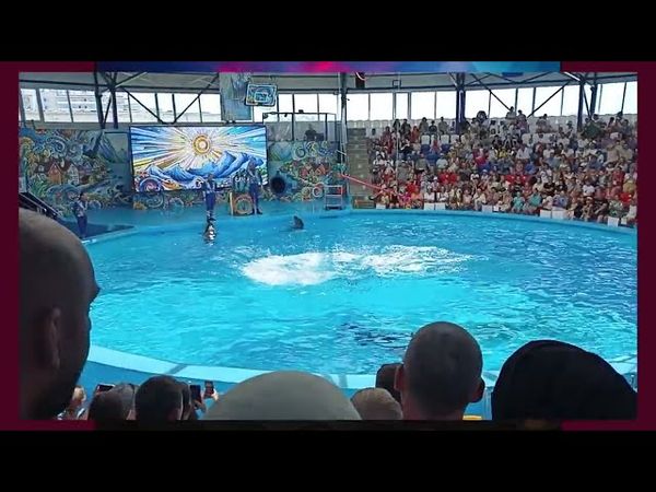 Lady Ariana, Lady Asya Премьера клипа - ЛЕТО (Official Music Video 2025)