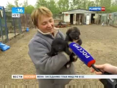 Вести-Москва (РТР-Планета, 06.05.2014, 05:35) (не с начала)