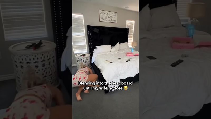 what would you do? 😂