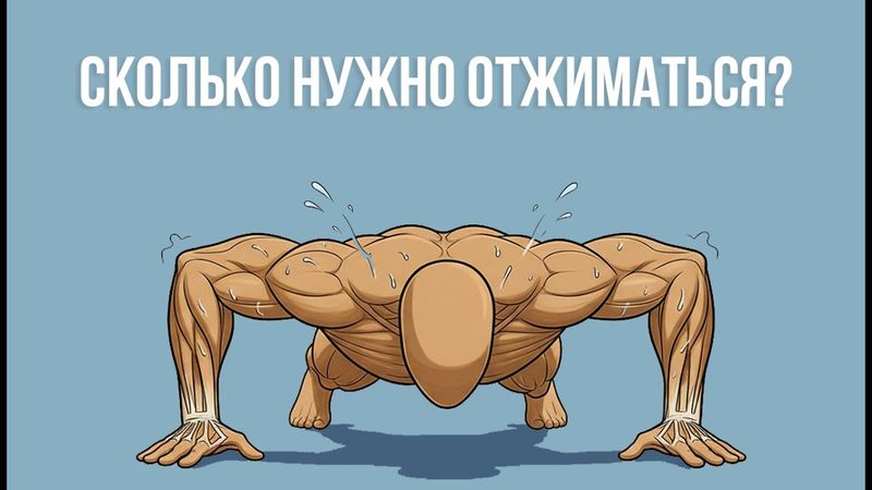 Сколько Нужно Отжиматься?