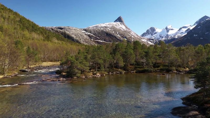 Free Forest  Nature Beauty 4K Video and Summer Adventure No Copyright Vlog Background Music