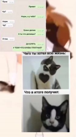 🔥фон в тг🔥#мем #capcut