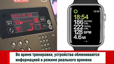 Подключение Apple Watch к Тренажерам Star Trac