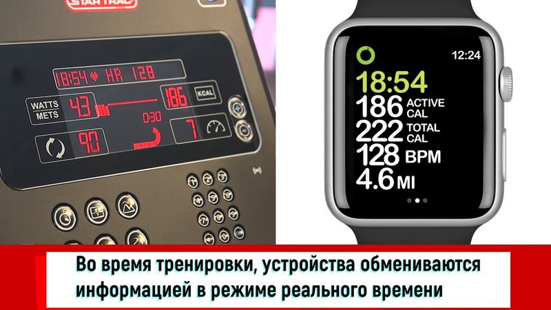Подключение Apple Watch к Тренажерам Star Trac