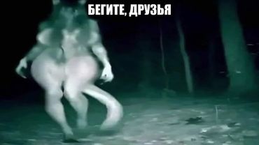 Набор Странных Мемов Забытой Папки