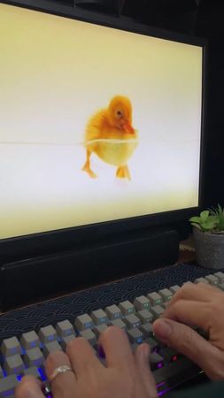 Undetectable AI Humanizer - Clever AI Humanizer #humanizer#AI#CleverA...