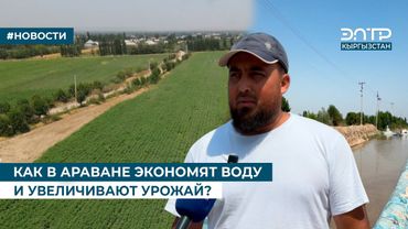 КАК В АРАВАНЕ ЭКОНОМЯТ ВОДУ И УВЕЛИЧИВАЮТ УРОЖАЙ?