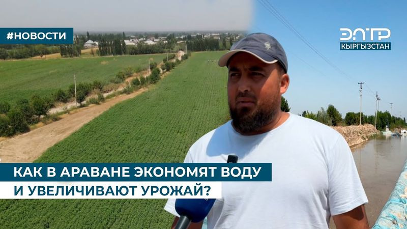 КАК В АРАВАНЕ ЭКОНОМЯТ ВОДУ И УВЕЛИЧИВАЮТ УРОЖАЙ?