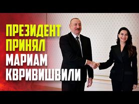 Президент Азербайджана Ильхам Алиев принял министра экономики и устойчивого развития Грузии