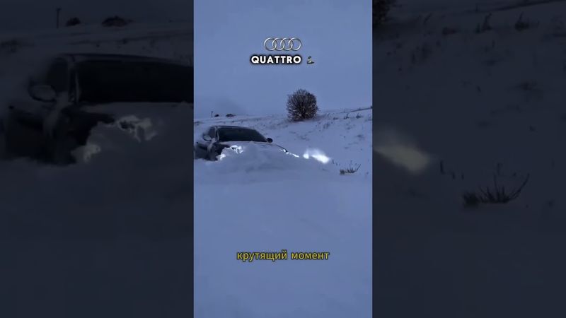 Audi Quattro: Лучшая Система Машин Для Зимы #cars #audi