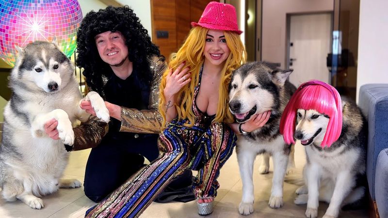 СОБАКИ НЕ УЗНАЮТ НАС В ПАРИКАХ / Хаски танцует DISCO 🤩