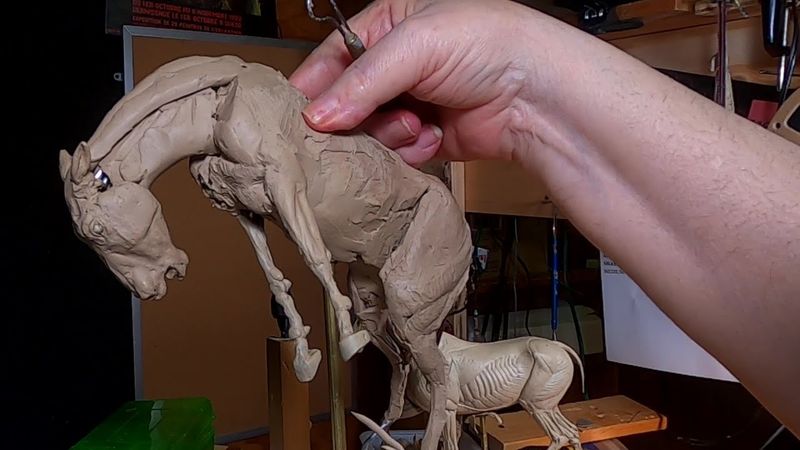 A BURR UNDER THE SADDLE BLANKET   Front Legs, Chest and Neck of the Horse