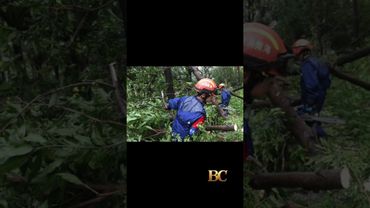 Thousands evacuated, flights canceled as Vietnam braces for Typhoon Kajiki to make landfall