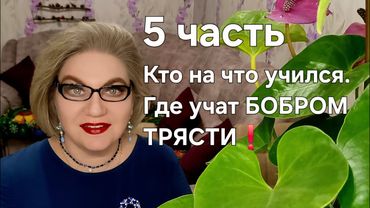 Кто на что учился❗️Где учат БОБРОМ ТРЯСТИ❓️