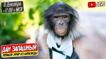 🔴 ФИНАЛЬНЫЙ СТРИМ ИЗ ЦИРКА КАРАГАНДЫ С ДАНОМ ЗАПАШНЫМ И ШИМПАНЗЕ БОНЕЙ